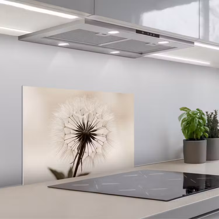 Kitchen splashback for hob - Dandelion - Minimalist - White — 1