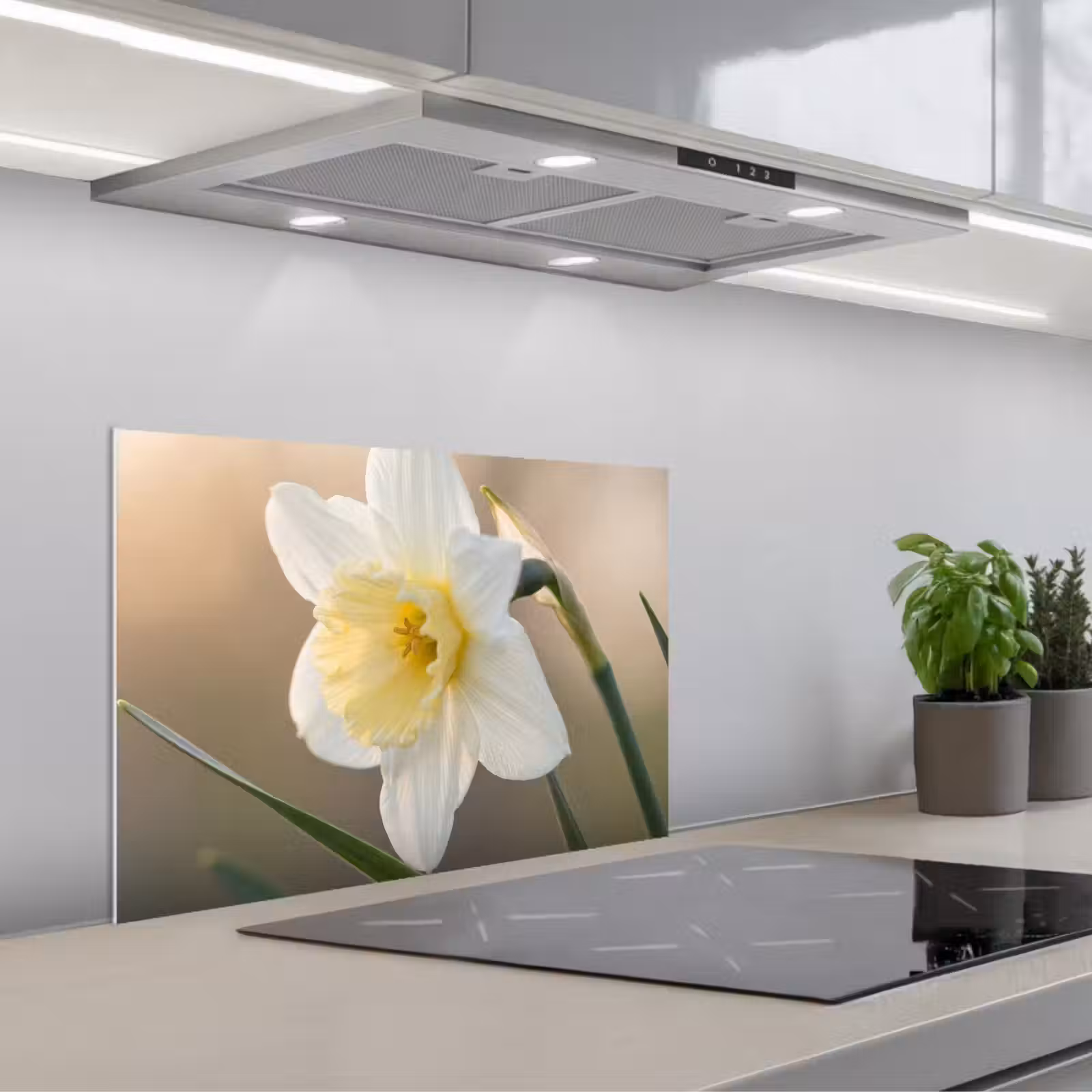 Kitchen splashback for hob - Daffodil - Flower - Minimalist — 1