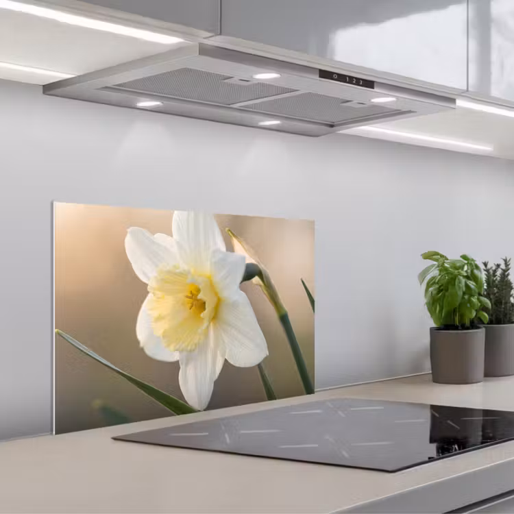 Kitchen splashback for hob - Daffodil - Flower - Minimalist — 1