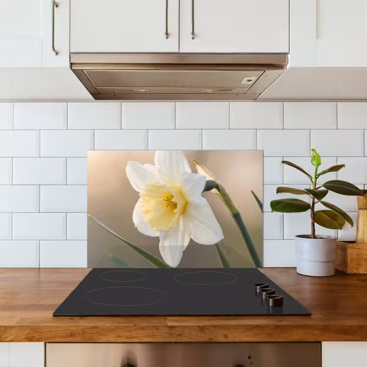 Kitchen splashback for hob - Daffodil - Flower - Minimalist — 3