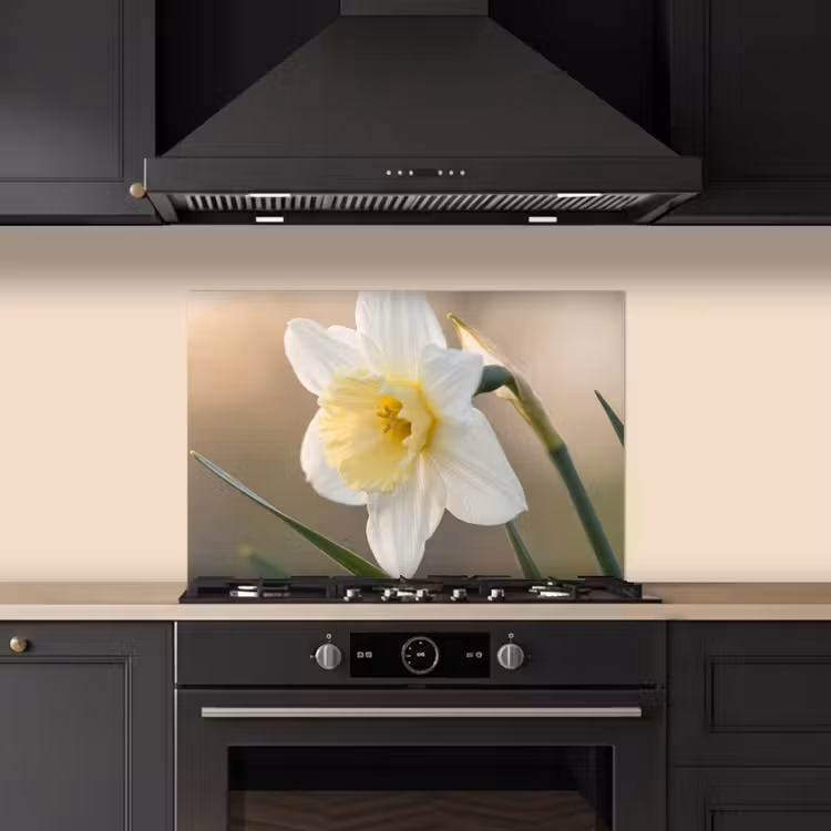 Kitchen splashback for hob - Daffodil - Flower - Minimalist — 5