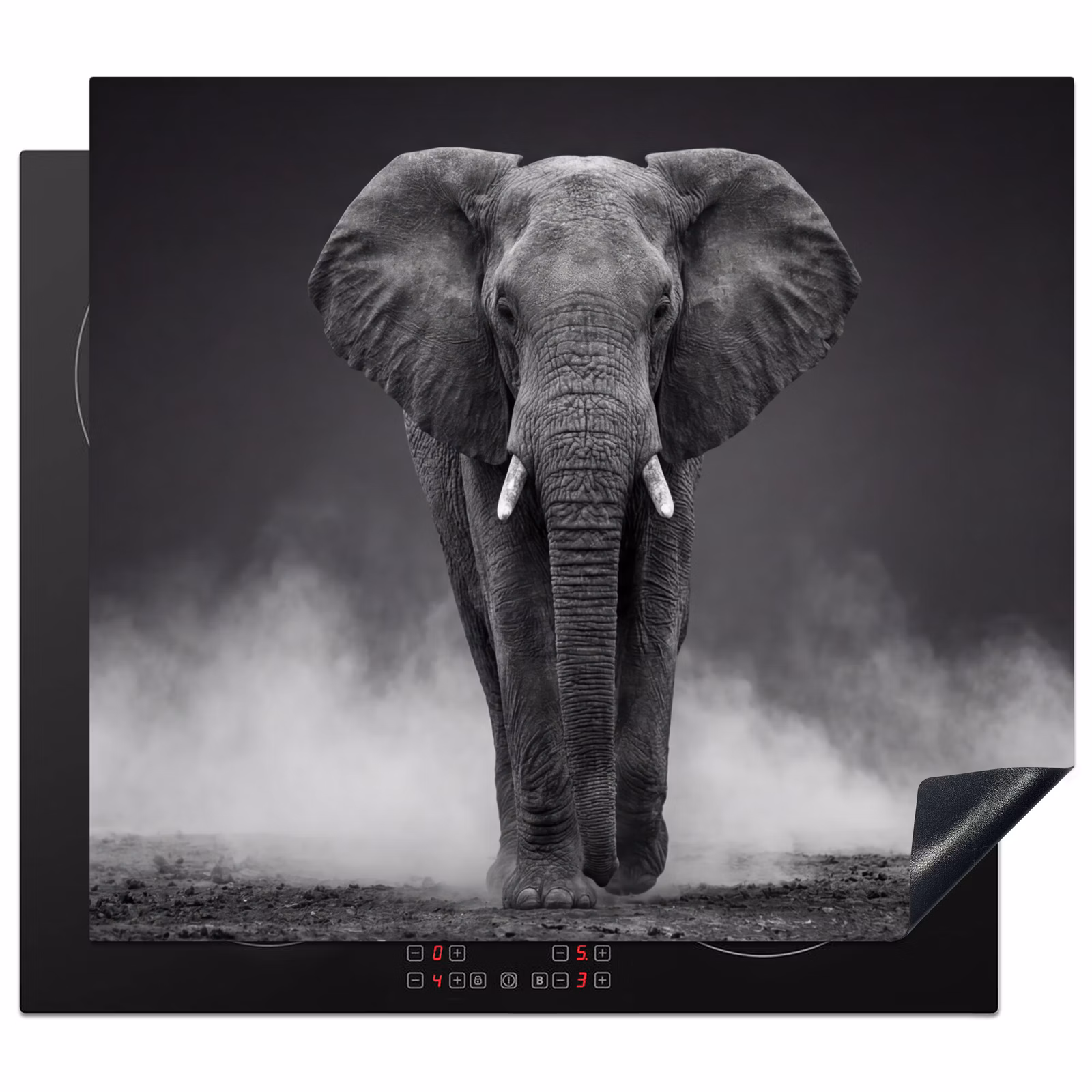 Induction hob cover - Elephant - Black - White - Smoke — 1