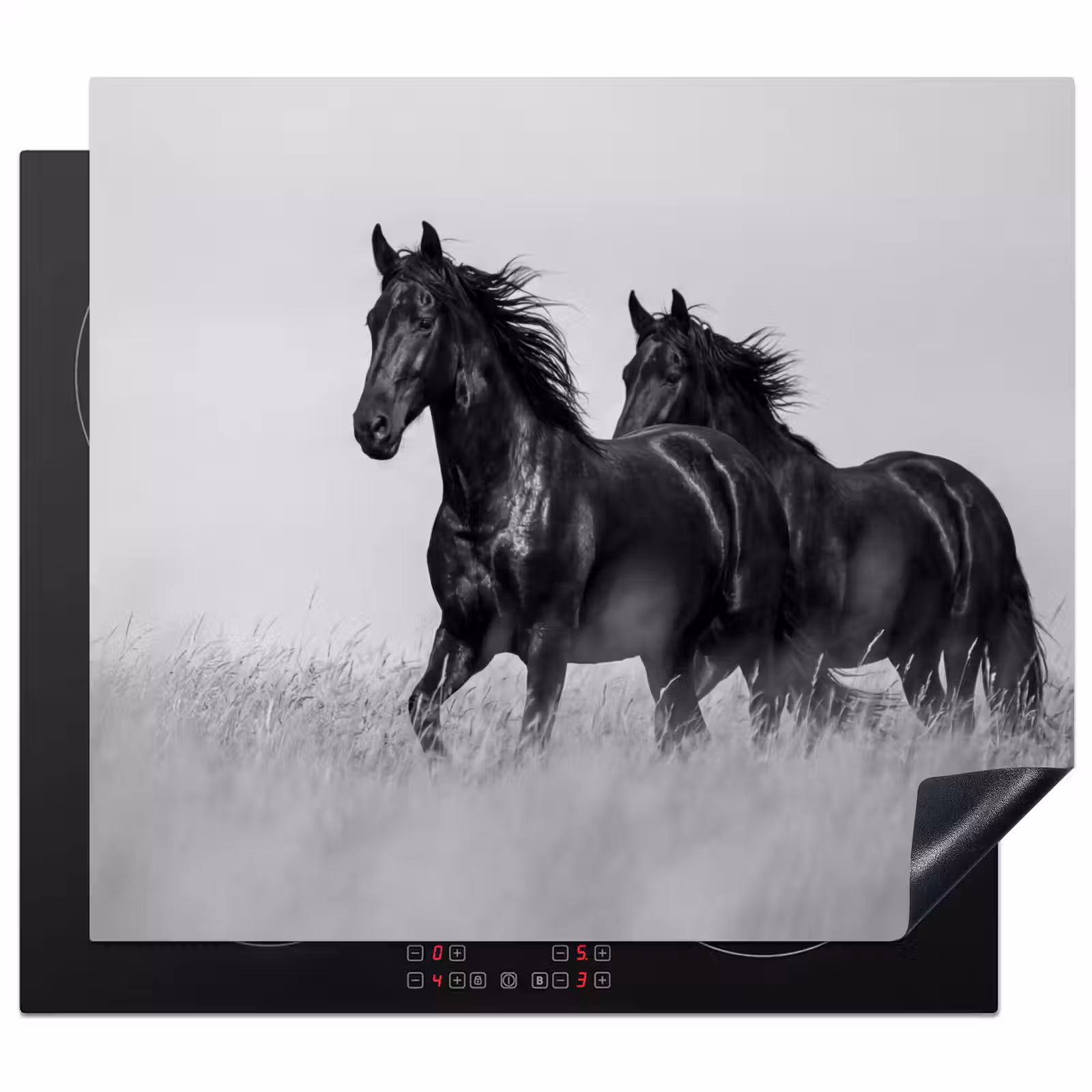 Induction hob cover - Horses - Grass - Black - White — 1