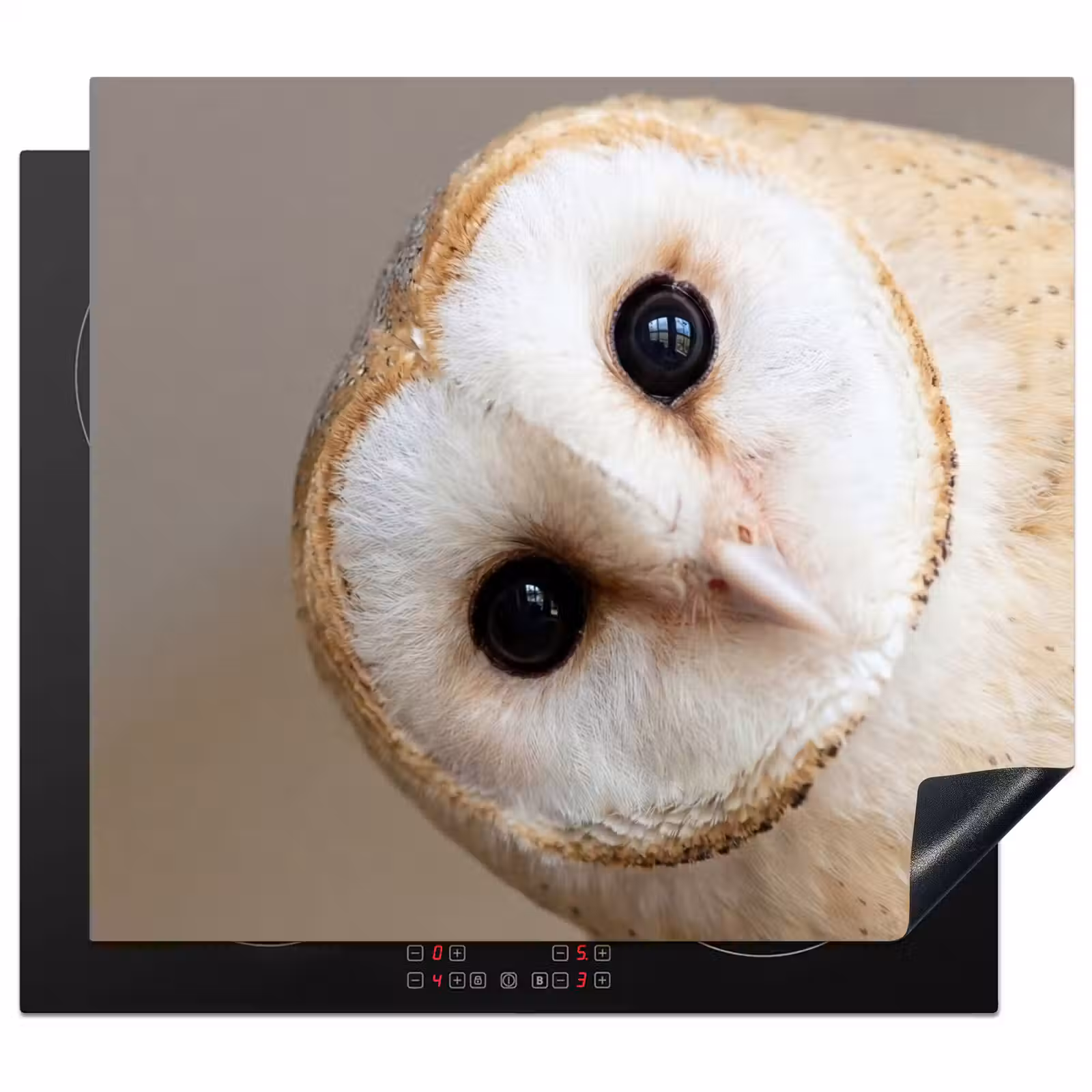 Induction hob cover - Owl - Brown - White — 1