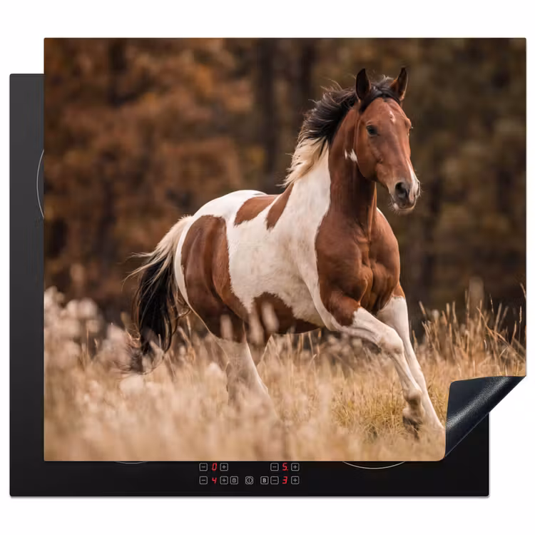 Induction hob cover - Horse - Brown - Grass — 1