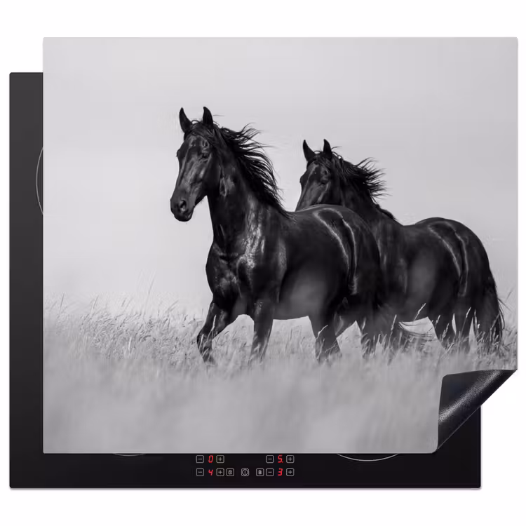 Induction hob cover - Horses - Grass - Black - White — 1