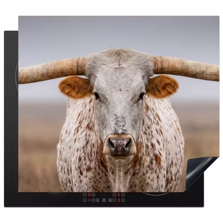 Induction hob cover - Longhorn - Grass Field - Animal — 1