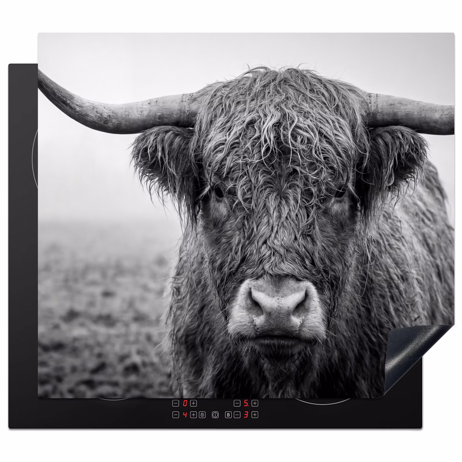 Induction hob cover - Scottish highlander - Black - White - Grass — 1