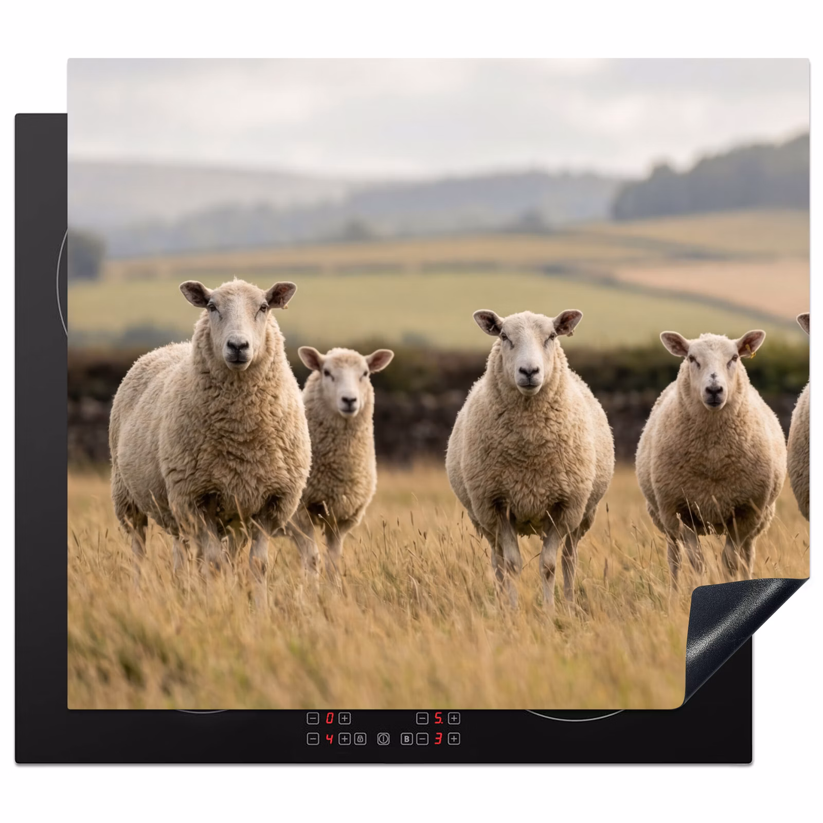 Induction hob cover - Sheep - Pasture landscape - Hills — 1