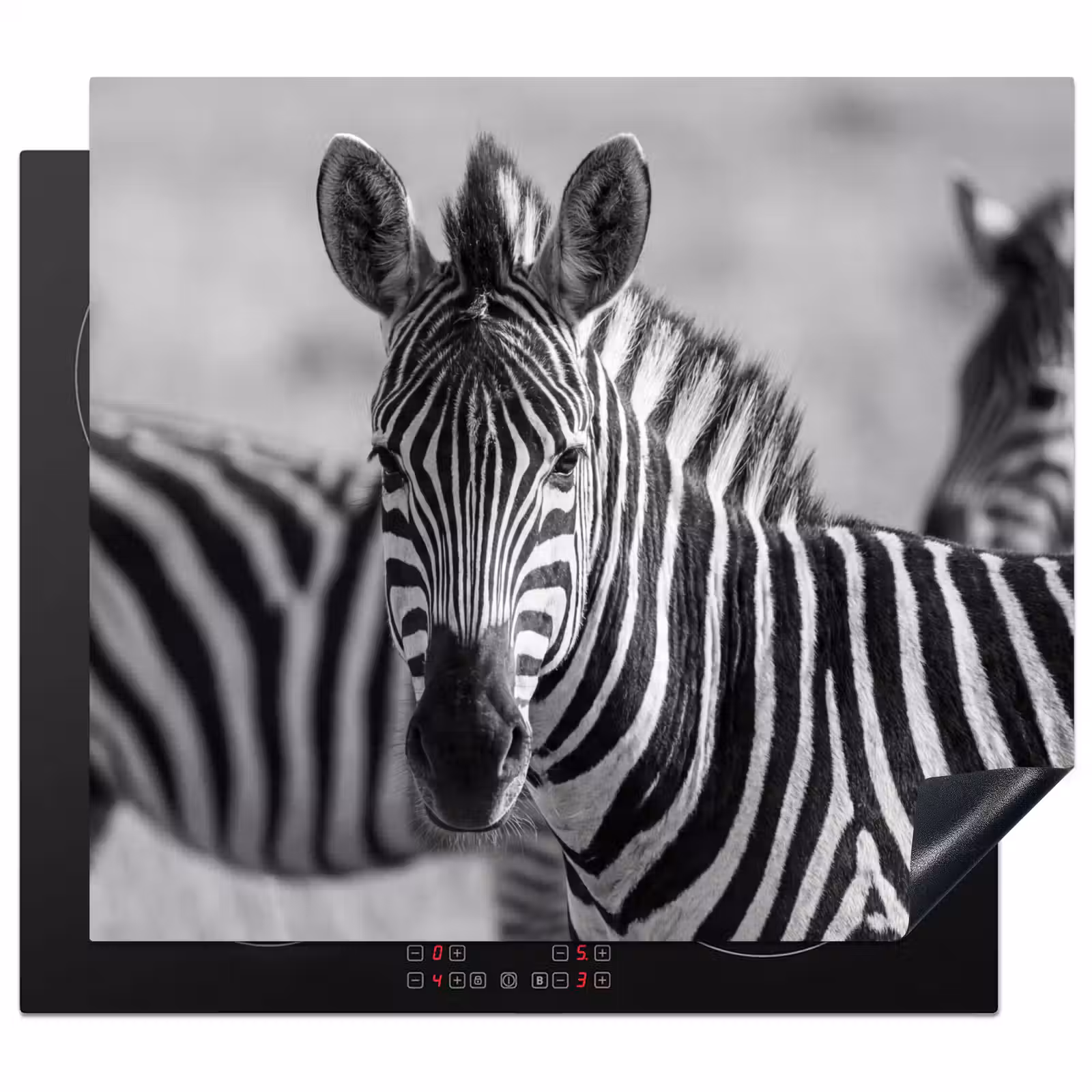 Induction hob cover - Zebras - Black - White — 1