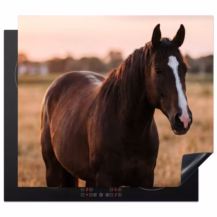 Induction hob cover - Horse - Sunset - Brown — 1
