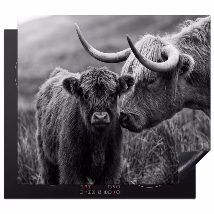 Induction hob cover - Scottish highlander - Calf - Black - White — 1