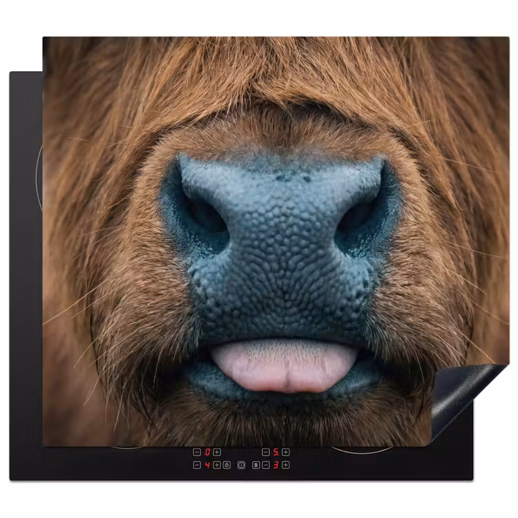 Induction hob cover - Scottish highlander - Nose - Brown — 1