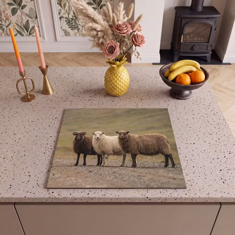 Induction hob cover - Sheep - Brown - White - Gravel Path — 3