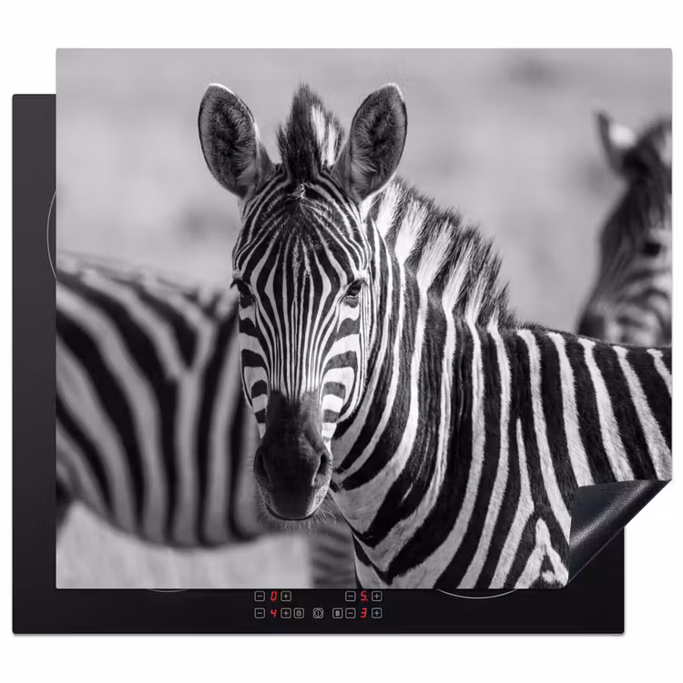 Induction hob cover - Zebras - Black - White — 1