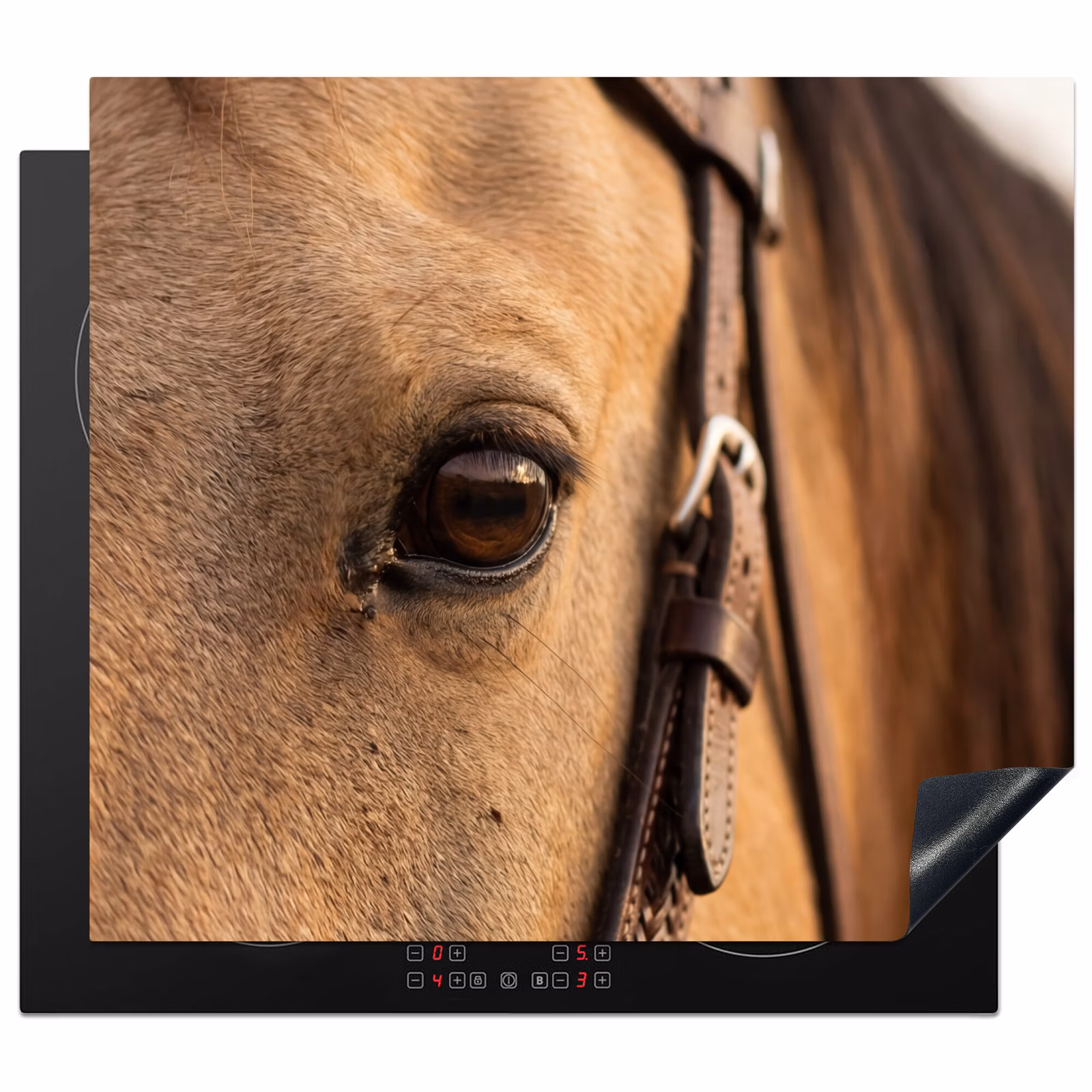 Induction hob cover - Horse - Eye - Brown — 1