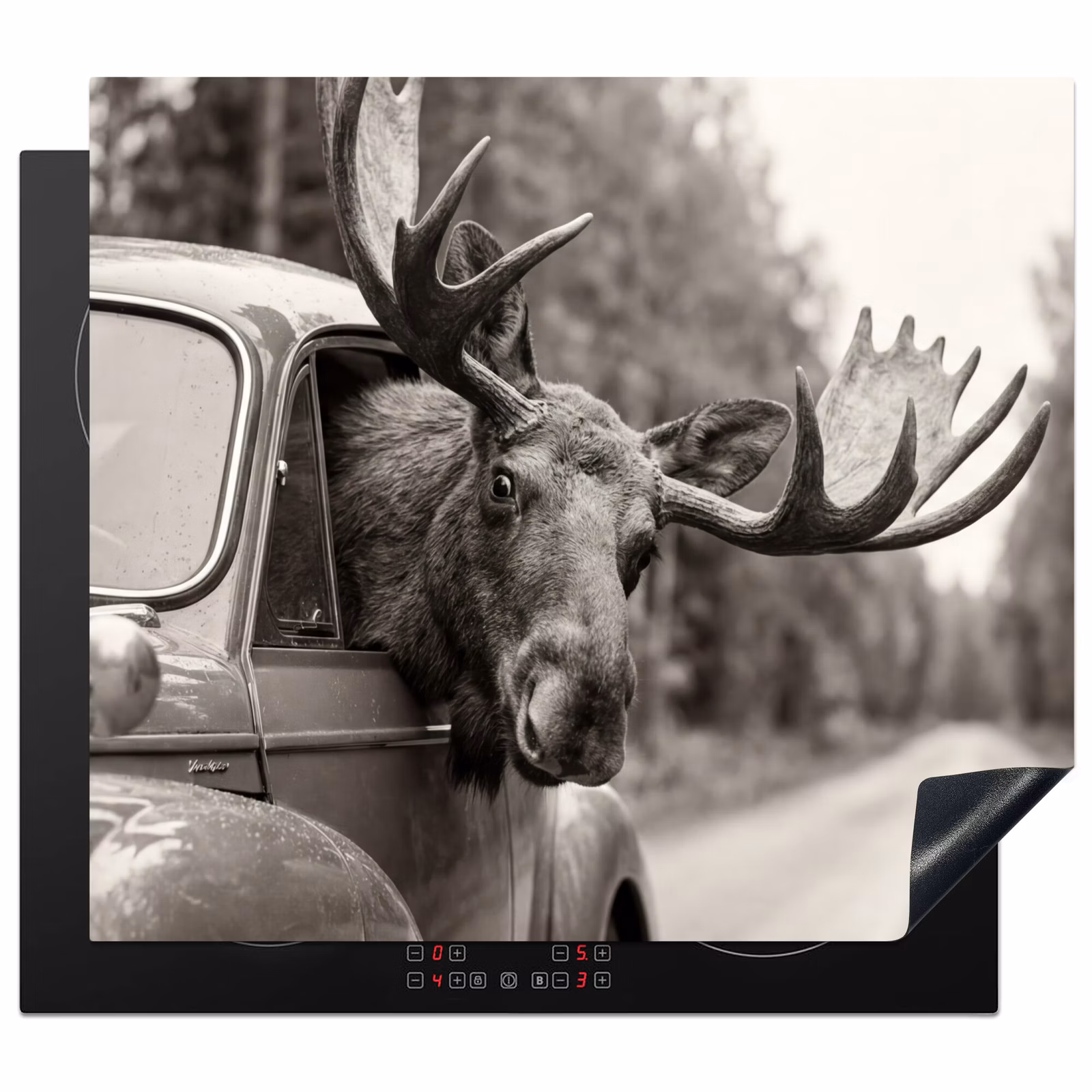 Induction hob cover - Moose - Car - Antlers - Black - White — 1