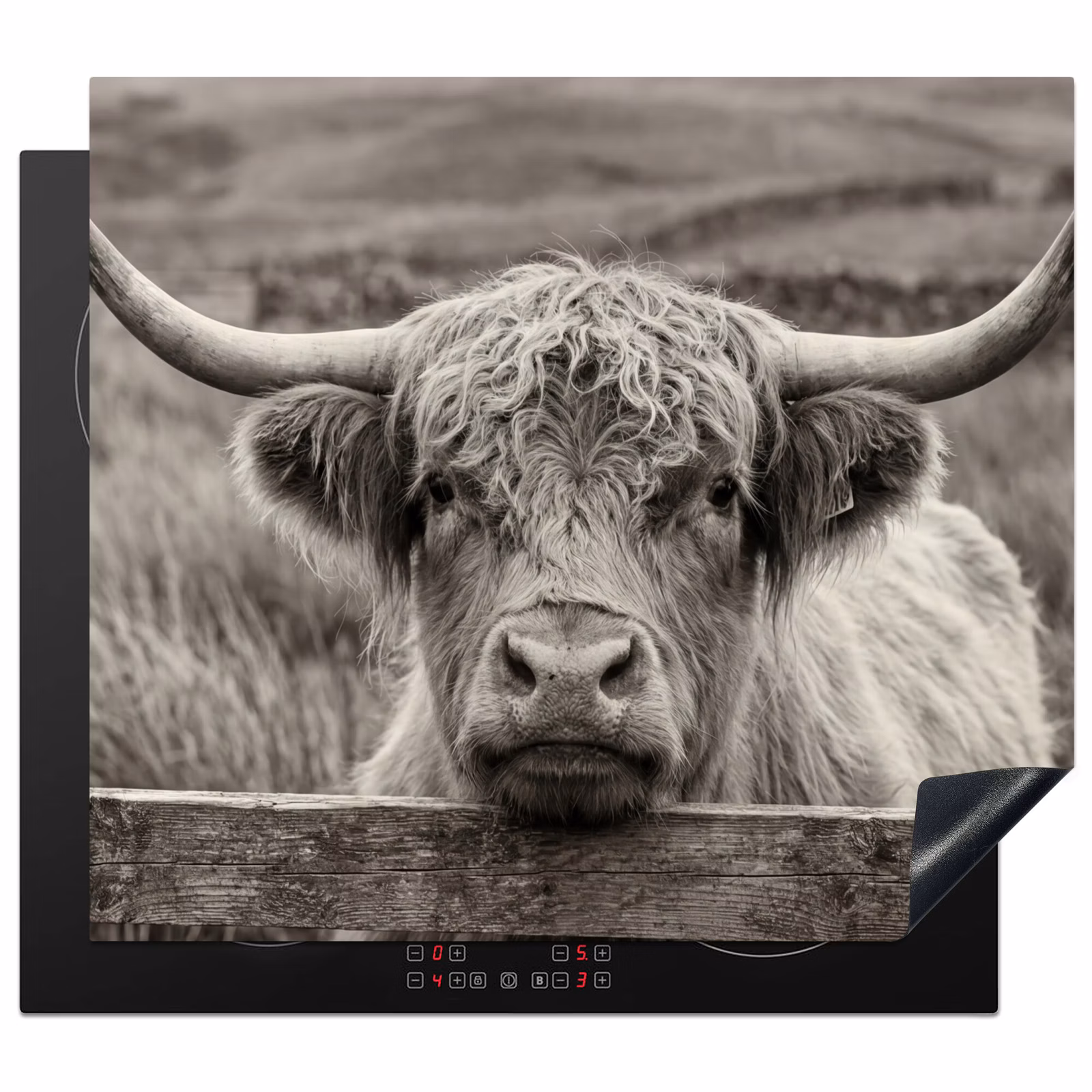 Induction hob cover - Scottish Highlander - Black - White - Wood — 1