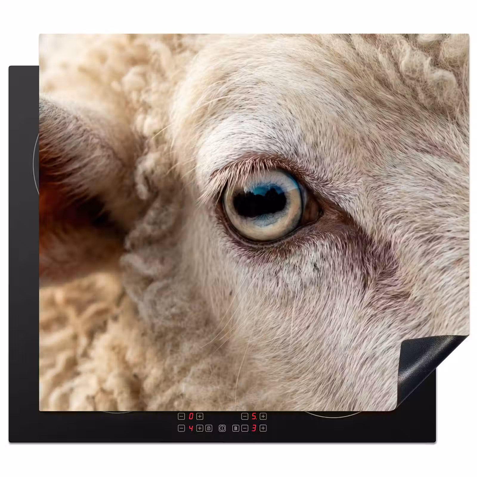 Induction hob cover - Sheep - Eye - White — 1