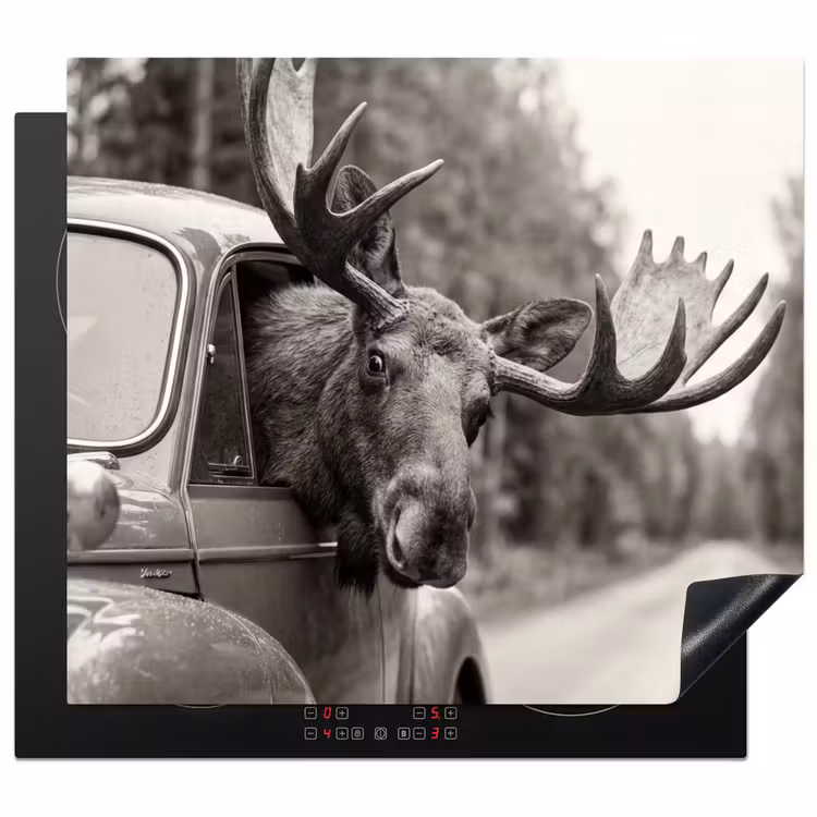 Induction hob cover - Moose - Car - Antlers - Black - White — 1