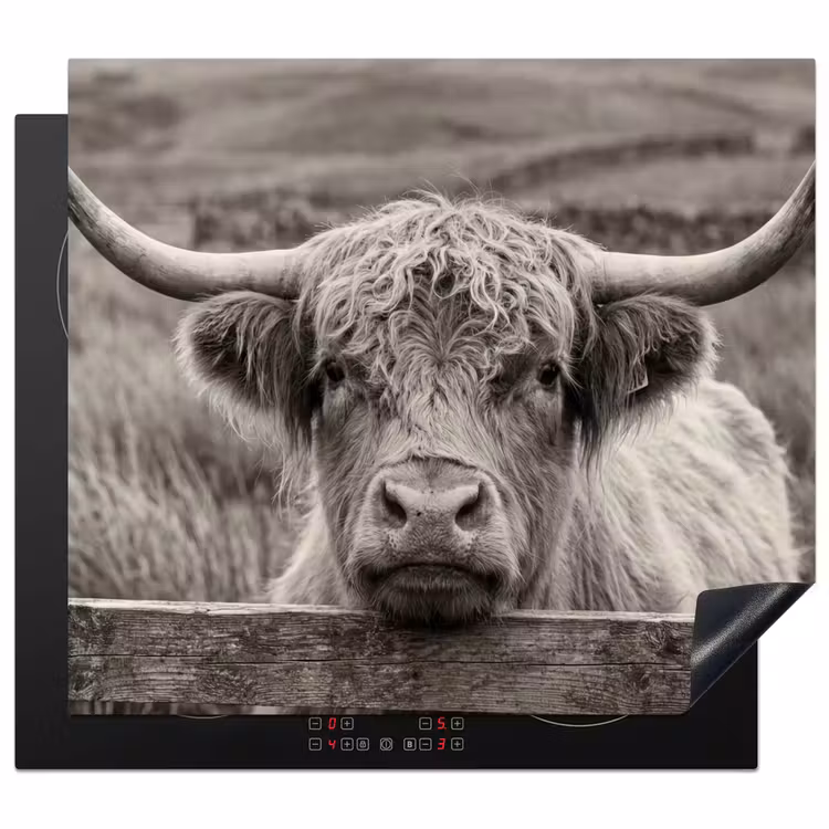 Induction hob cover - Scottish Highlander - Black - White - Wood — 1
