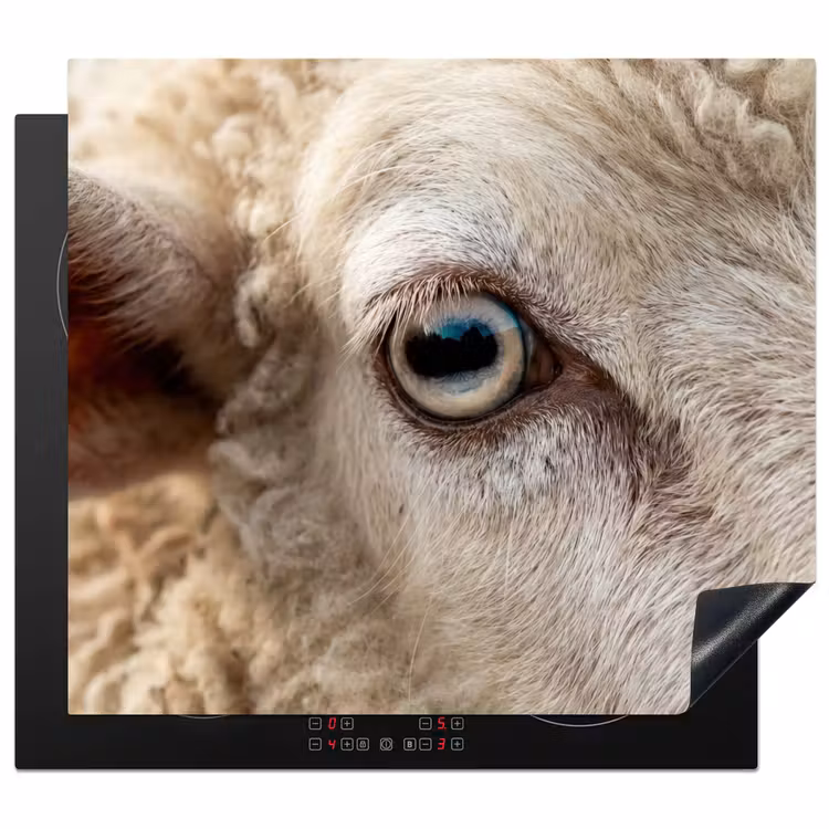 Induction hob cover - Sheep - Eye - White — 1