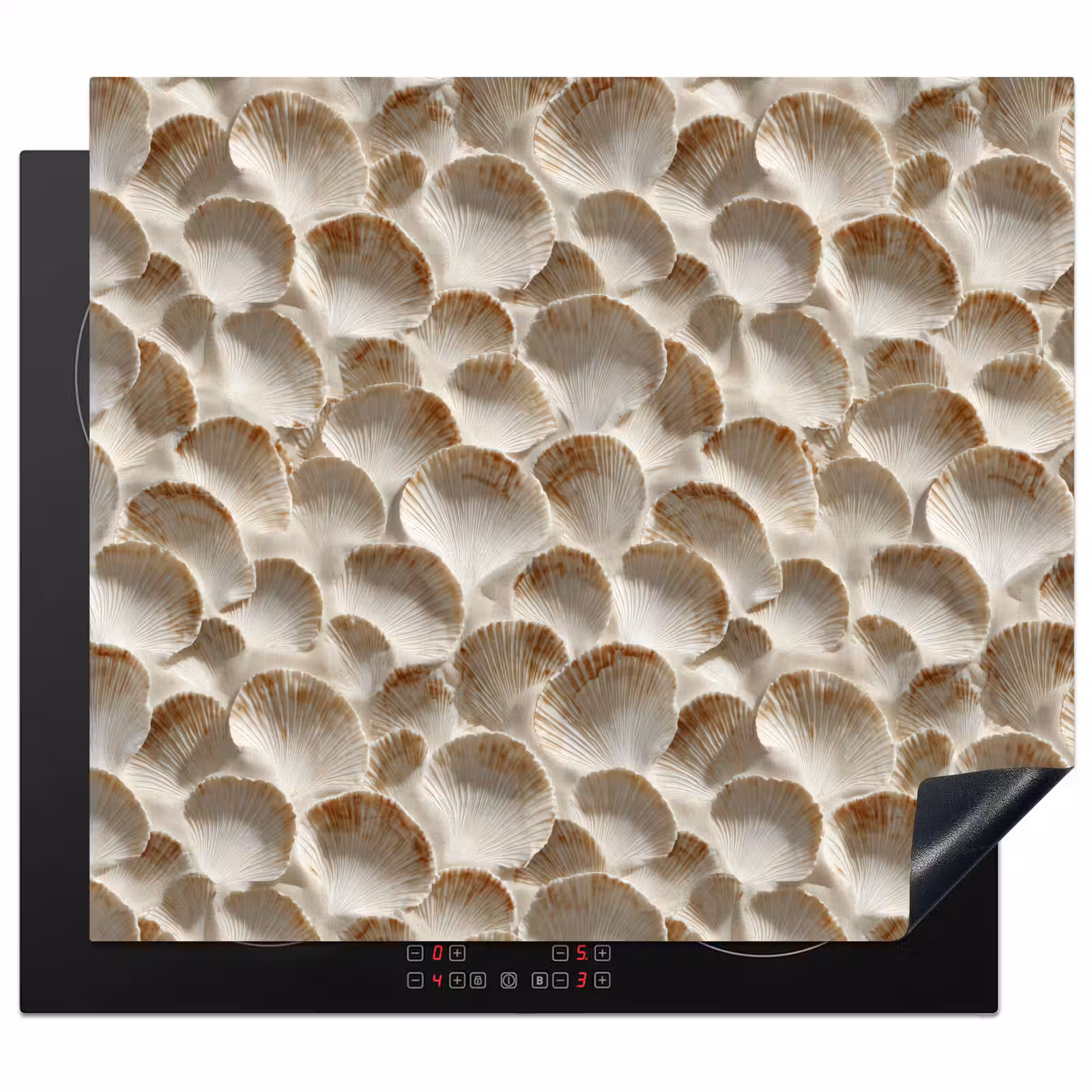 Induction hob protector - Shells - Fan Shape - White — 1