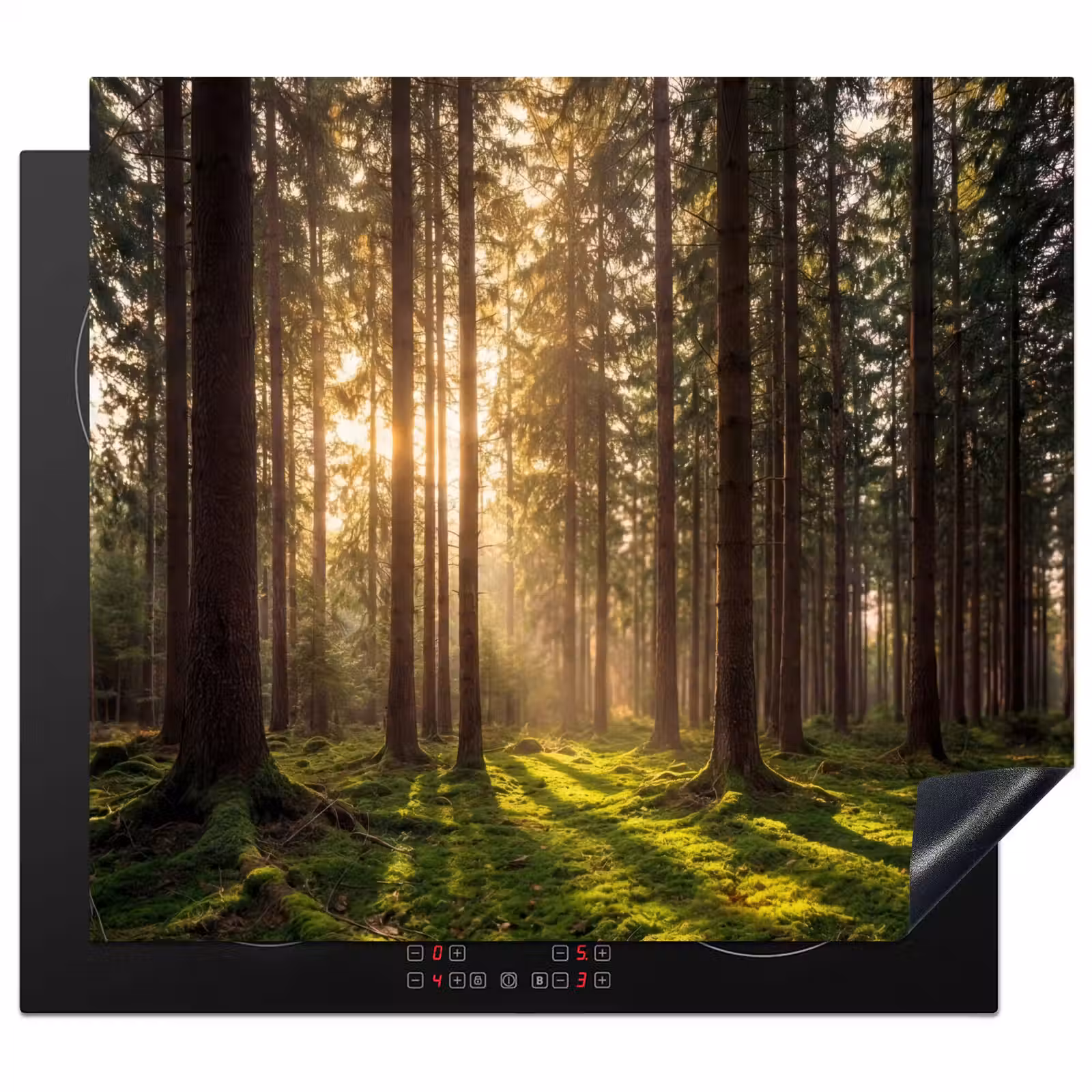 Induction hob protector - Forest - Grass - Sunlight — 1