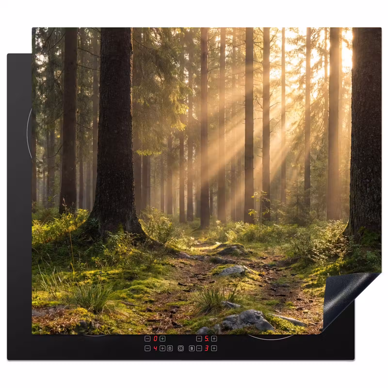 Induction hob protector - Forest - Sunlight - Grass — 1