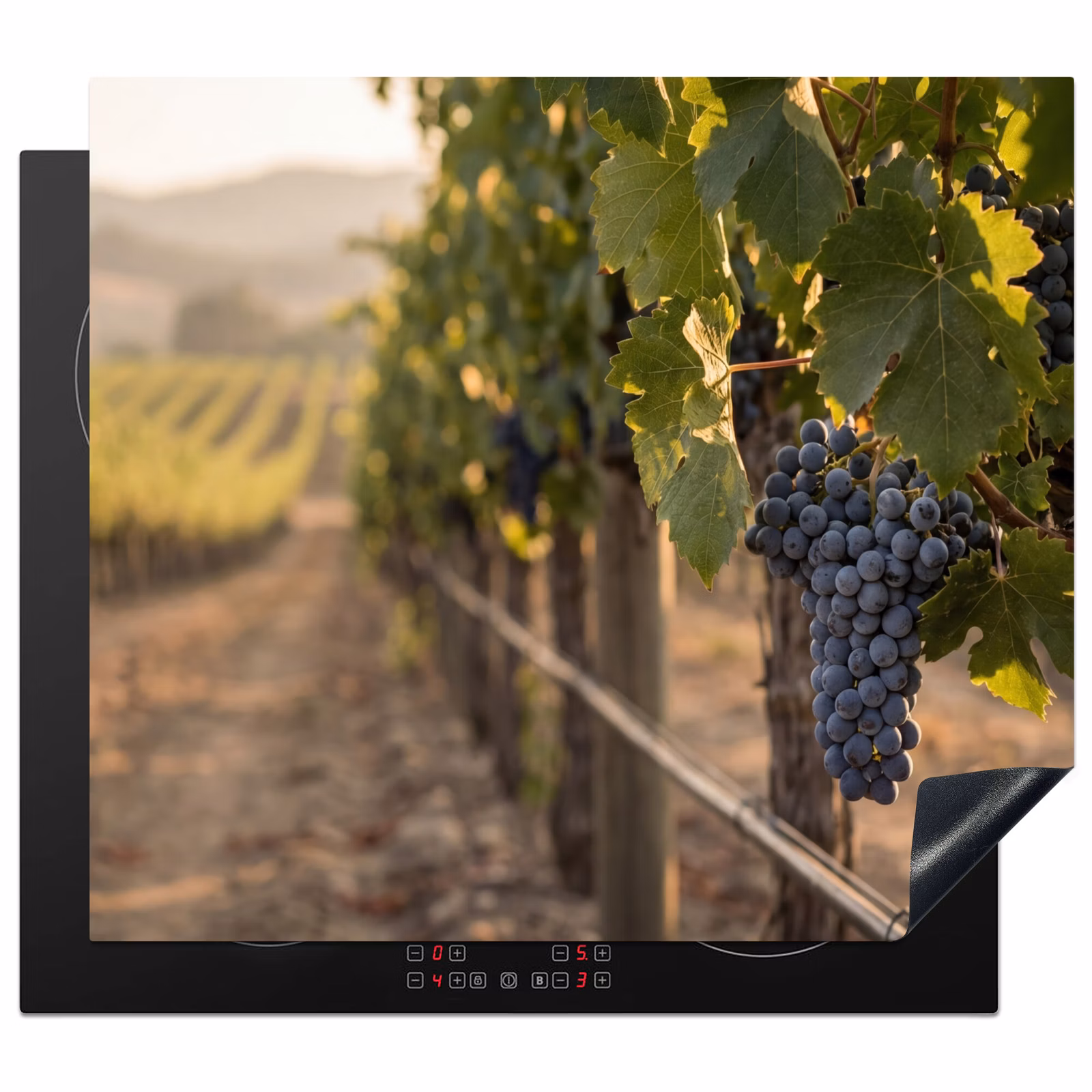 Induction hob protector - Grapes - Vineyard - Sunlight — 1