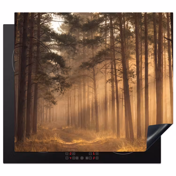 Induction hob protector - Forest - Fog - Sunlight — 1