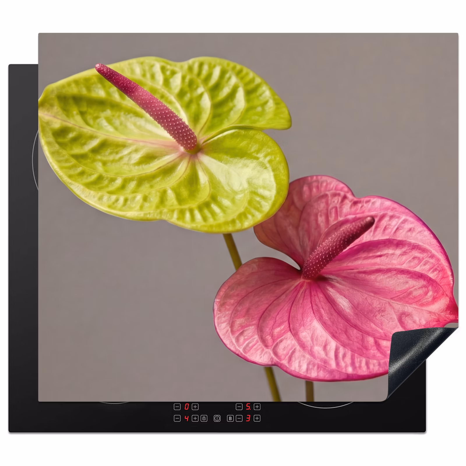 Induction hob protector - Plants - Anthurium - Green - Pink — 1