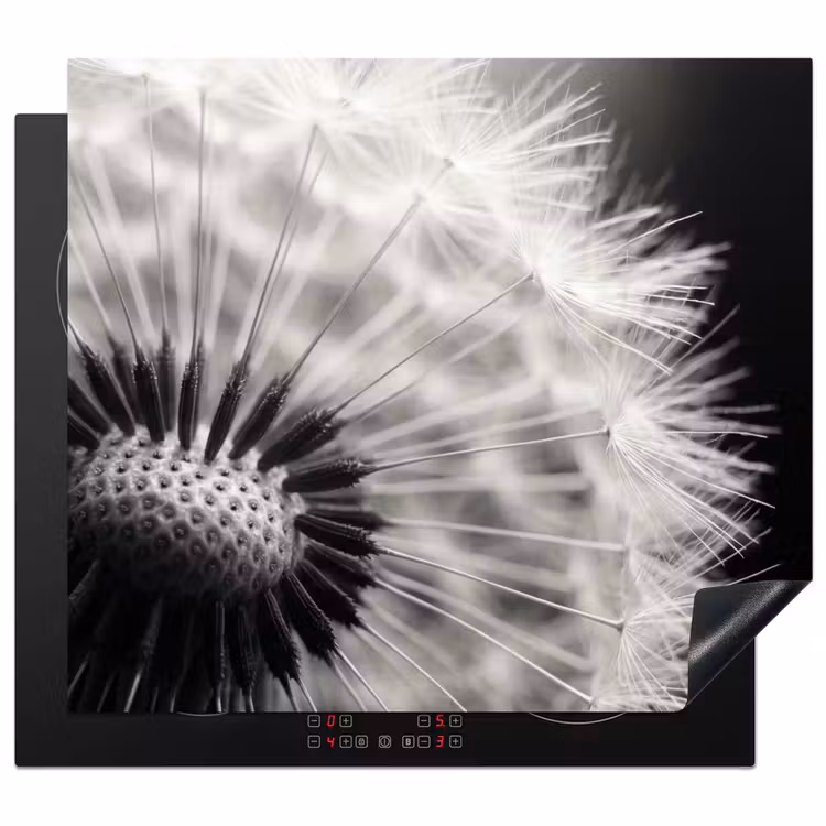Induction hob protector - Dandelion - Black - White — 1