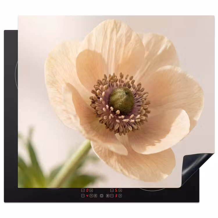 Induction hob protector - Flower - Minimalist - Green — 1