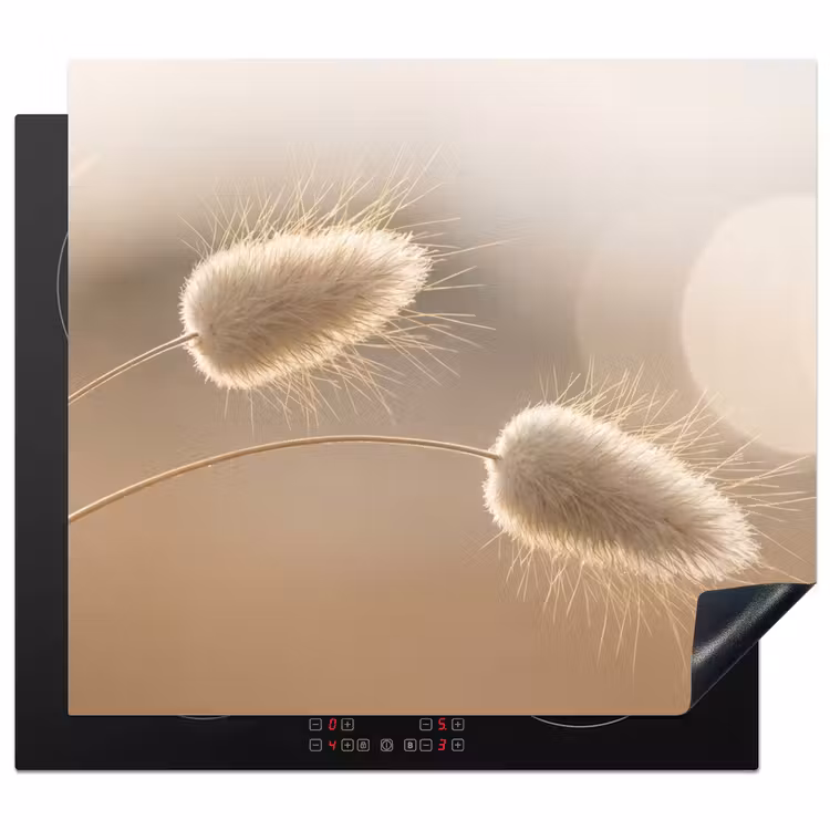 Induction hob protector - Haze tail grass - Grain hairs - Sunlight — 1