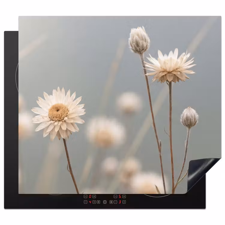 Induction hob protector - Straw Flowers - White - Daylight — 1