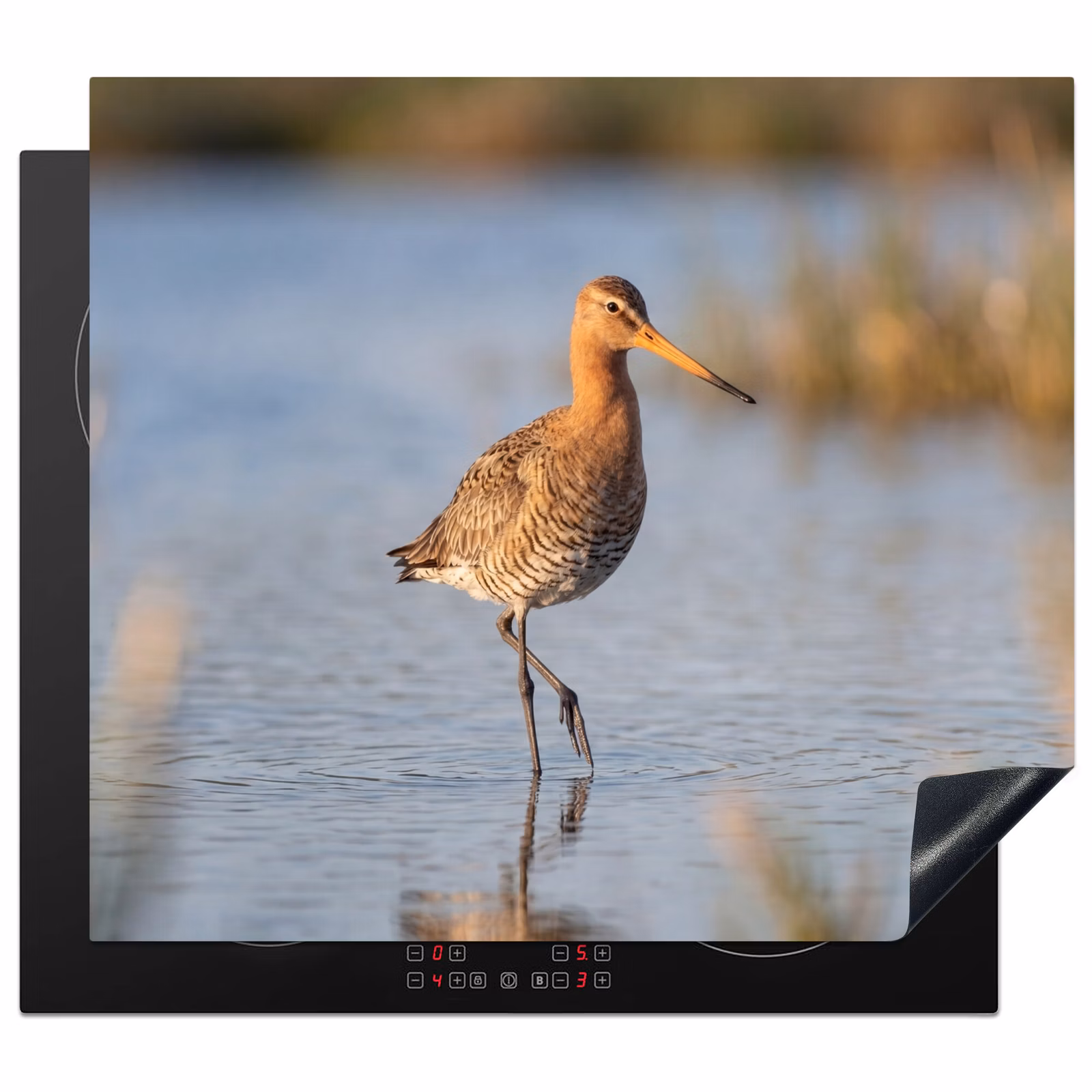 Induction hob cover - Bird - Stilt walker - Water - Nature — 1
