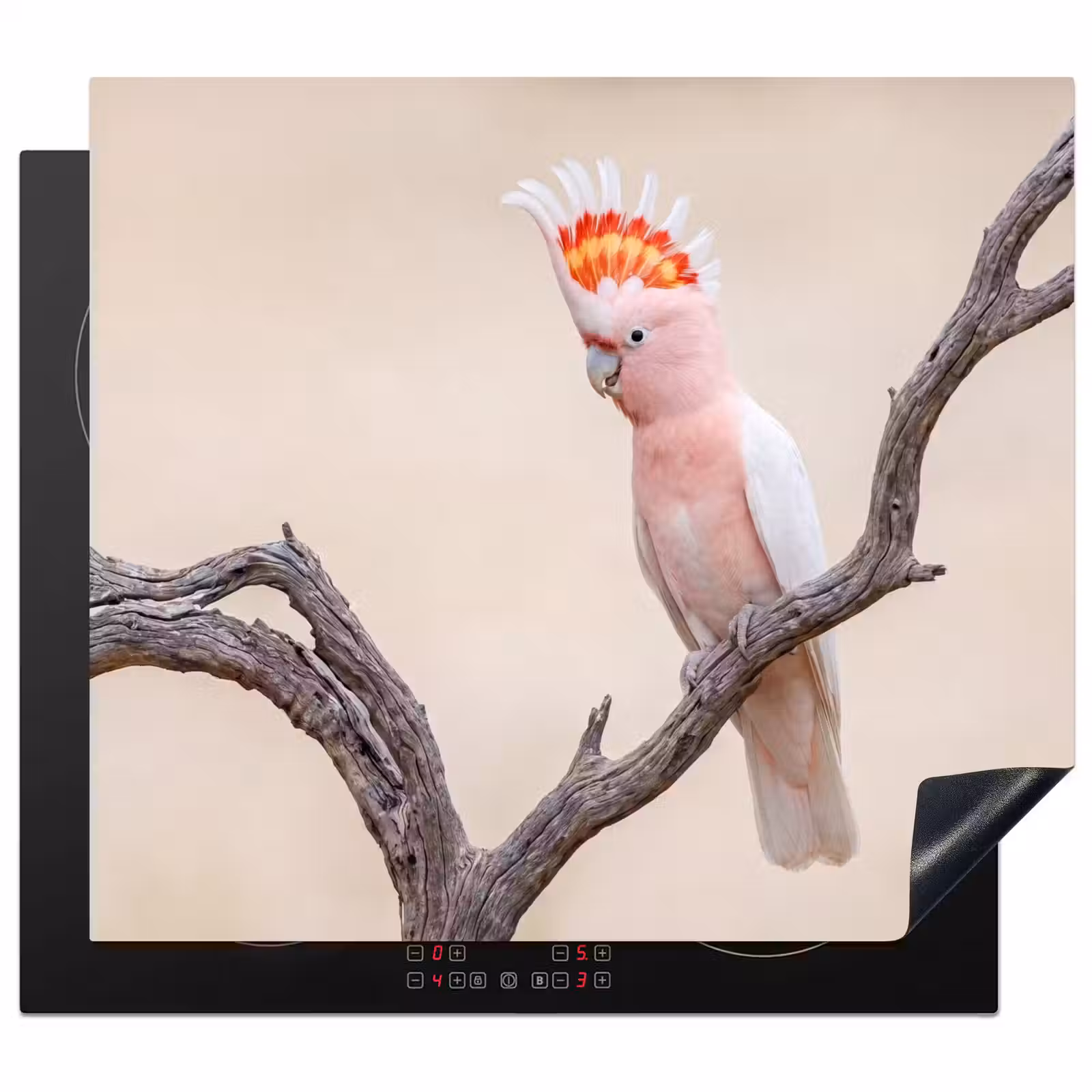 Induction hob cover - Parrot - Branch - Pink — 1