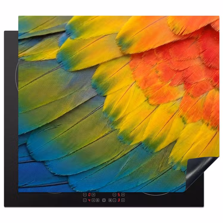 Induction hob cover - Feathers - Macaw - Colorful — 1