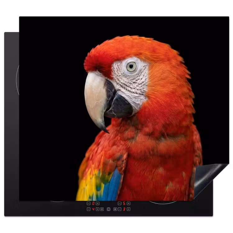Induction hob cover - Macaw - Portrait - Red — 1