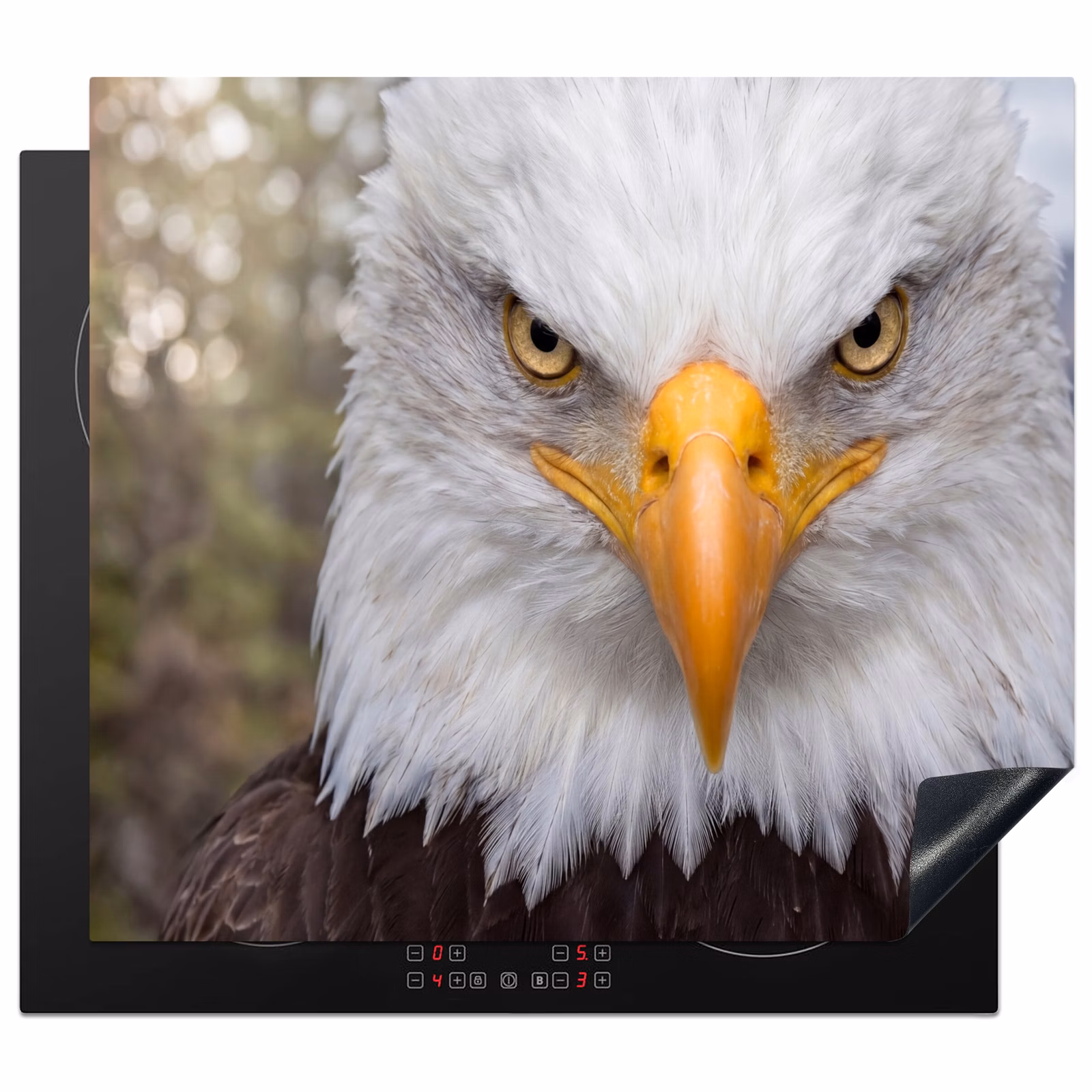 Induction hob cover - American - Bald Eagle - Portrait - Yellow — 1