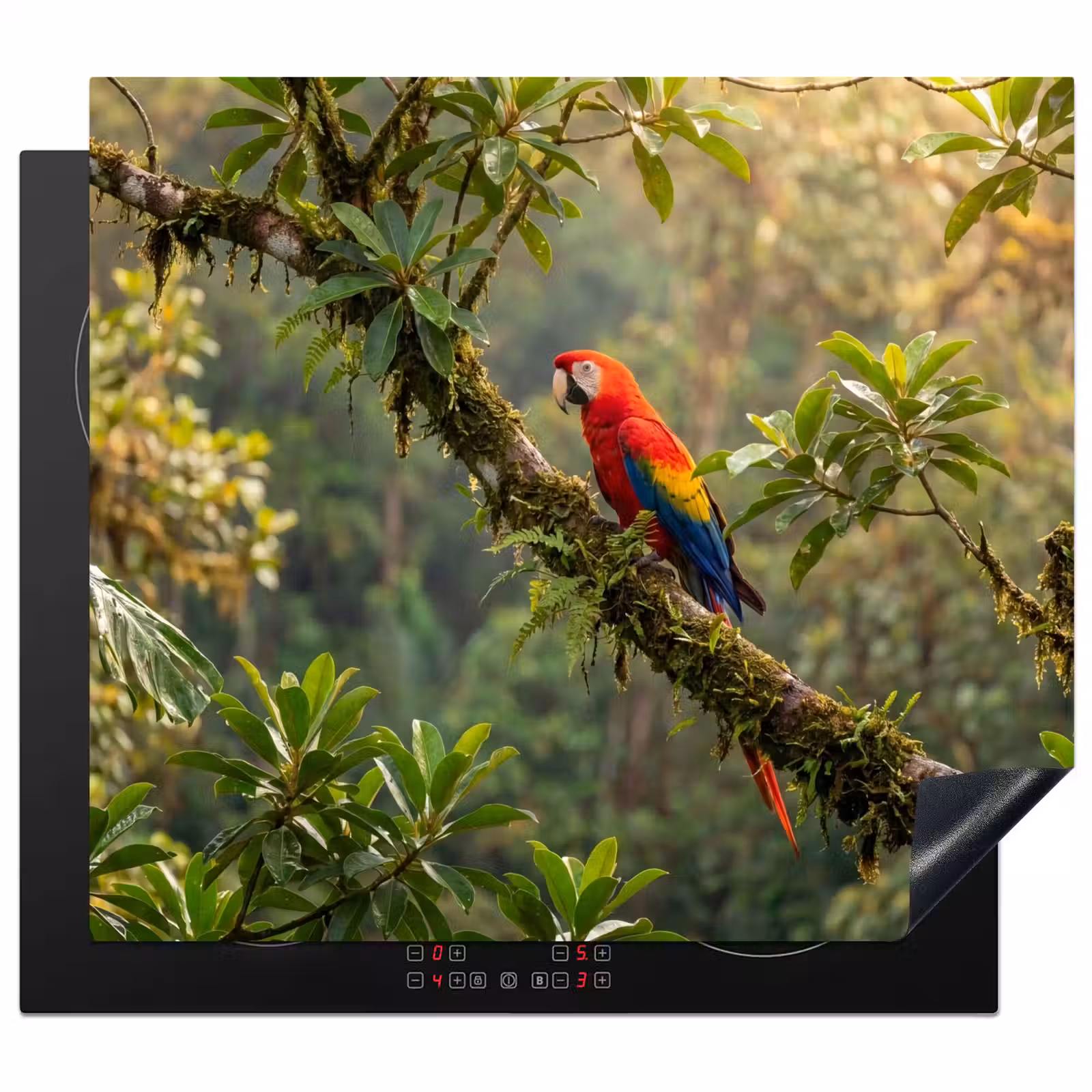 Induction hob cover - Ara - Jungle - Red — 1