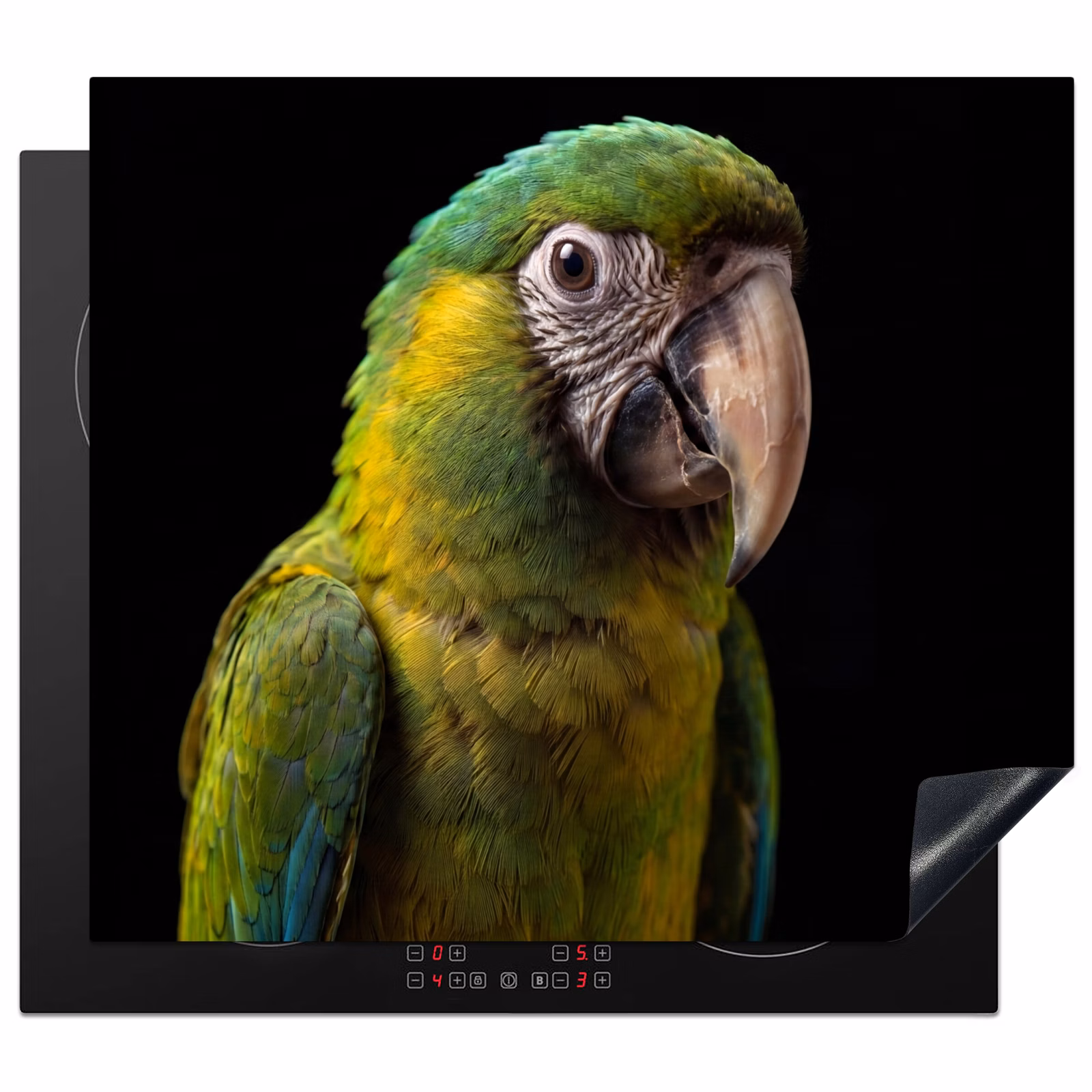 Induction hob cover - Macaw - Portrait - Green — 1