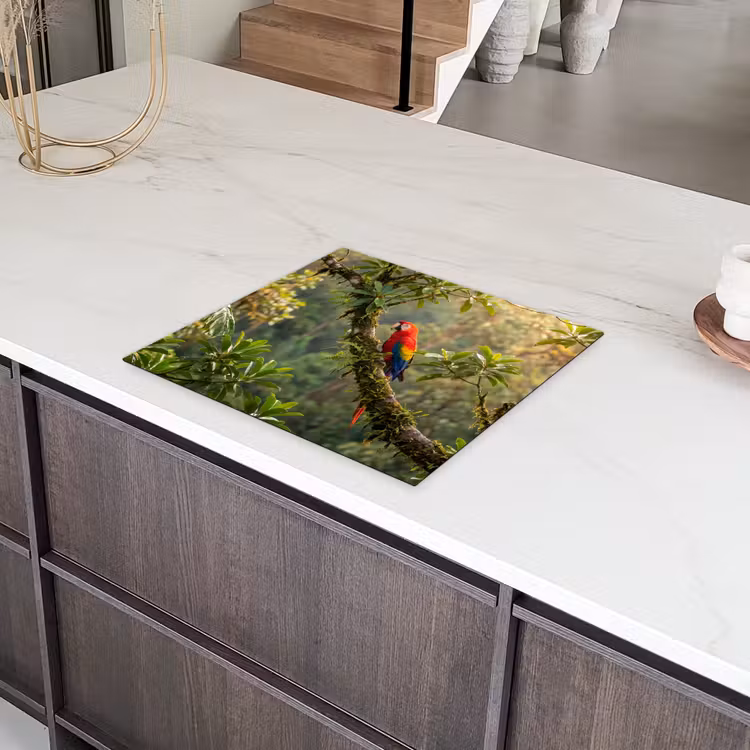 Induction hob cover - Ara - Jungle - Red — 4