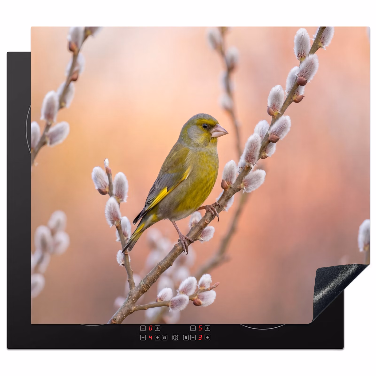 Induction hob cover - Greenfinch - Cats - Spring - Nature - Soft — 1