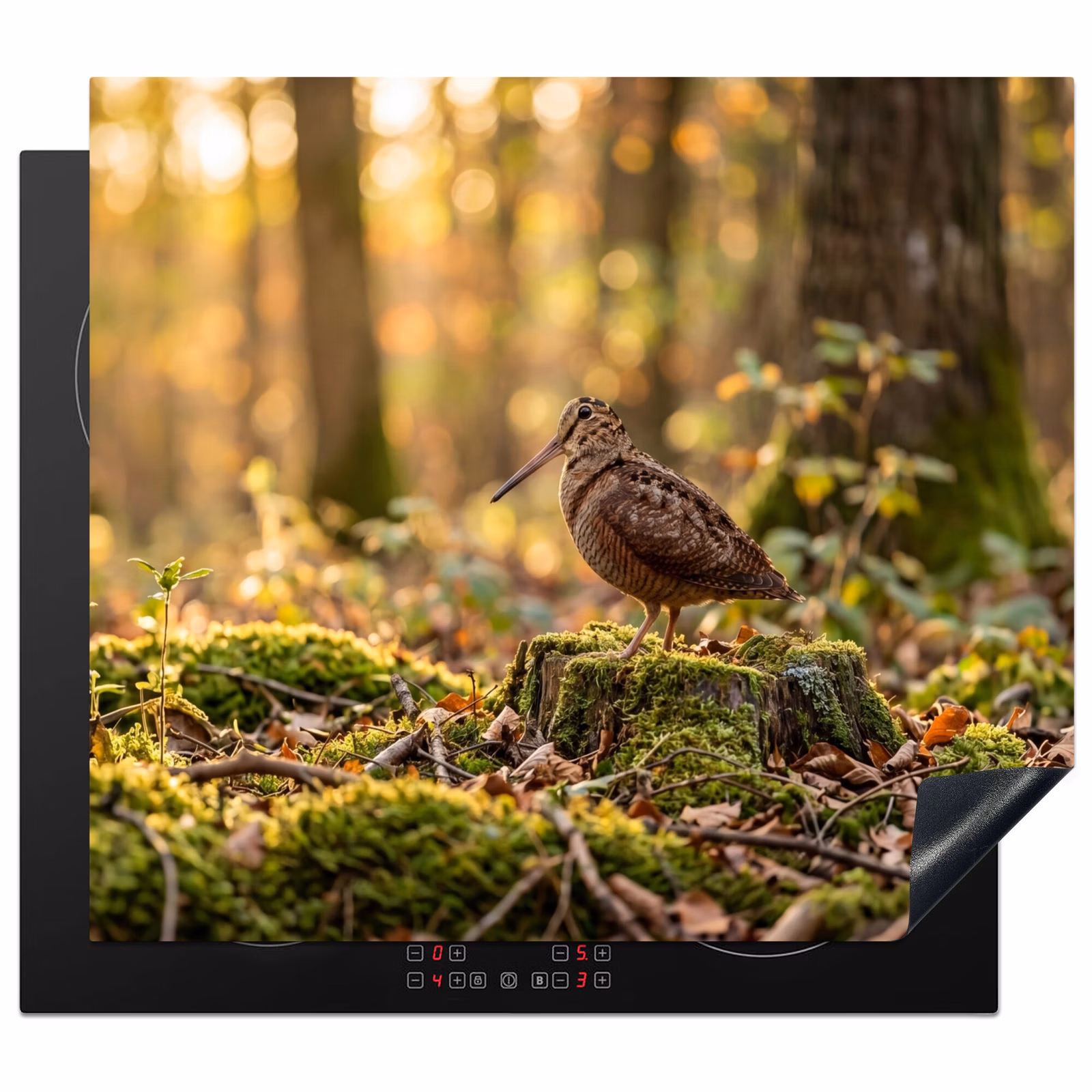 Induction hob cover - Woodcock - Forest - Leaves - Autumn - Camouflaged — 1