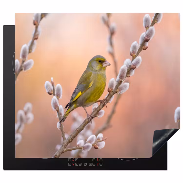 Induction hob cover - Greenfinch - Cats - Spring - Nature - Soft — 1