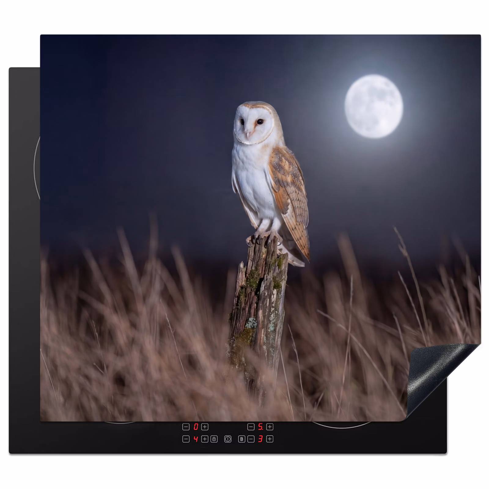 Induction hob cover - Barn owl - Moon - Night — 1