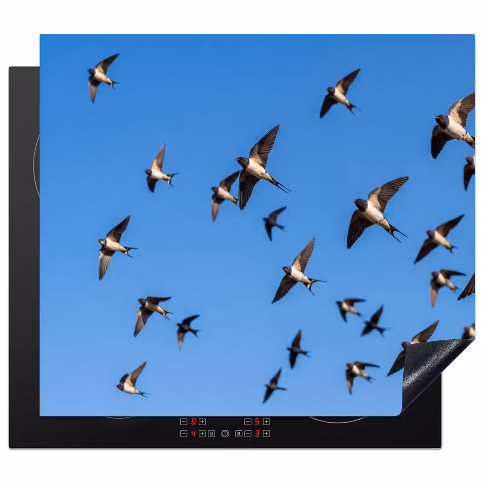 Induction hob cover - Swallows - Flies - Blue — 1
