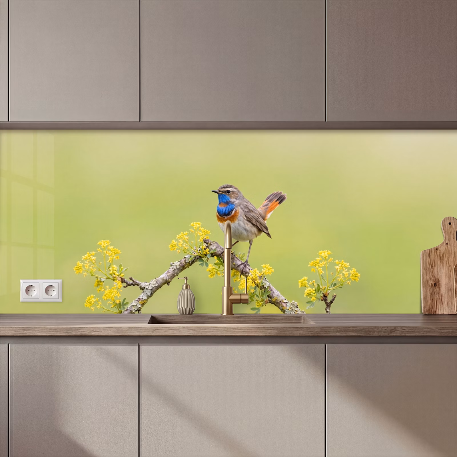 Kitchen splashback - Bird - Branch - Nature - Colorful — 1